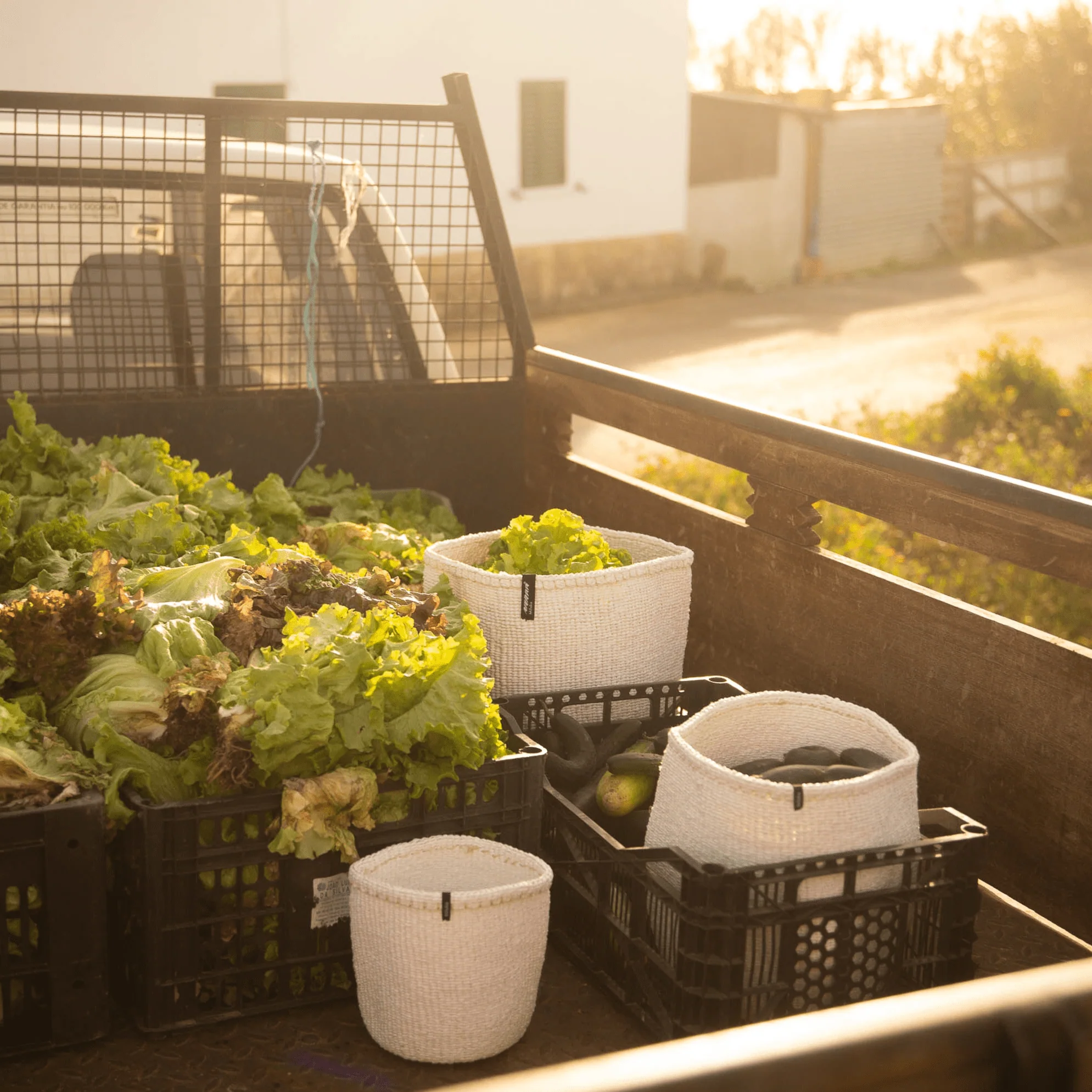 Kiondo basket | White M